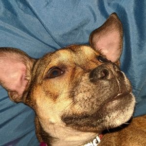 Meet your Posher, Geoff